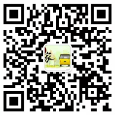 二维码图片