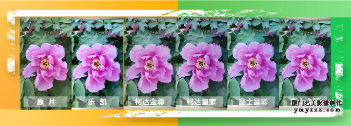 v2-575924631368ec72f083e6e540b5d100_720w.png