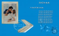 5642珍珠银线条框